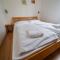 Comfortable holiday home in Lipno with garden - ليبنو ناد فلتافو