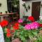 Hotel Casa Tago