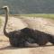 Indalu Game Reserve