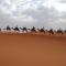 Desert Camel Trekking Camp - Merzouga