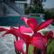 The Riverside Estate - 3Bedroom Private Pool Villa in Udaipur