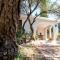 Lilly - Lovely small Villa among Olive Trees - Sarroch