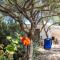 Lilly - Lovely small Villa among Olive Trees