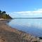 The Shore