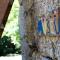 Comfortable Apartment with Pool in Marco de Canaveses - 50 m² - 马尔科-德卡纳维泽斯