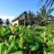 Afro Beach eco Resort Butre