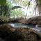 Piscina Natural on the Sea - Cahuita
