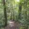 Bosque de Paz Reserva Biologica