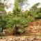 Secluded fishermans cottage Cove Stoncica, Vis - 8894