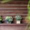 Refreshing Rainforest Retreat Kangaroo Valley