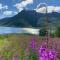 Unique and charming house at the foot of Lofoten's highest mountain - 斯沃尔韦尔