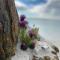 Unique and charming house at the foot of Lofoten's highest mountain - 斯沃尔韦尔