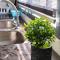 IRIS 33 Corner Lot House Spacious Outdoor WI-Fi