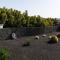 Timanfaya