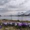 Unique and charming house at the foot of Lofoten's highest mountain - 斯沃尔韦尔
