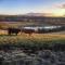 Old Stables Cottage - Hunwick