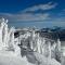 Whitefish Slopeside Condo - Whitefish