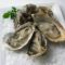 Les Limicoles maison proche mer