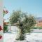 Vigere Luxury Villa - Monolithos