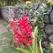 Neitas Nest