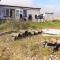 4 person holiday home in Fjerritslev