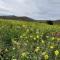 Apartamento carboneras y disfruta del LUJO del Parque Natural Cabo de Gata Nijar