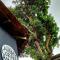 The Old Quarter Hostel - Panaji