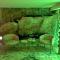 Casalinho da Azenha - Charm House