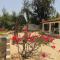 Bazouk Du Saloum Ecolodge Solidaire