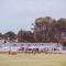Warm Karoo