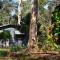 Selo Retreat- escape to this forest retreat