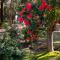 Selo Retreat- escape to this forest retreat