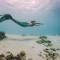 Siyam World Maldives - 24-Hour Premium All-inclusive with Free Transfer