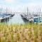 MeerZeit Stilvolles Apartment am Meer, Wendtorf