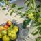 Bright & Modern 2BR Apt with Spacious Terrace 5-min from Beach by Sea N Rent