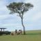 Castel Mara Camp