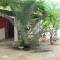 Bazouk Du Saloum Ecolodge Solidaire
