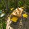 Colorado Glamping - Montevideo