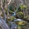 Walk to Slopes & Village, Stylish 2BR Thredbo Chalet with Garage