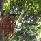 Nawal