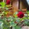 Rest House Ripac