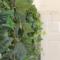 Fitzroy Terrace by Property Promise