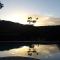 Fish Eagle Manor