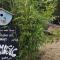 Salema Eco Camp - Sustainable Camping & Glamping