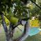 Holiday Home Amila