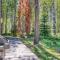 Black Butte Contemporary - Black Butte Ranch