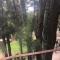 Master Loft en Valquirico