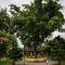 Wild Adventure Resort - Sunset Point - Sauraha