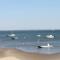 Cabane bord de plage - Lège-Cap-Ferret