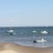 Entre dune et plage Les Jacquets Cap Ferret